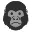 🦍 🦍